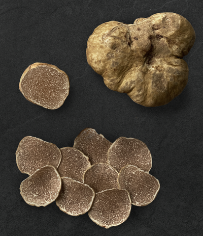Best Fresh Winter White Truffles - Medium Size photos by Regalis Foods - item 1