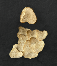 Fresh Winter White Truffles - Small Size