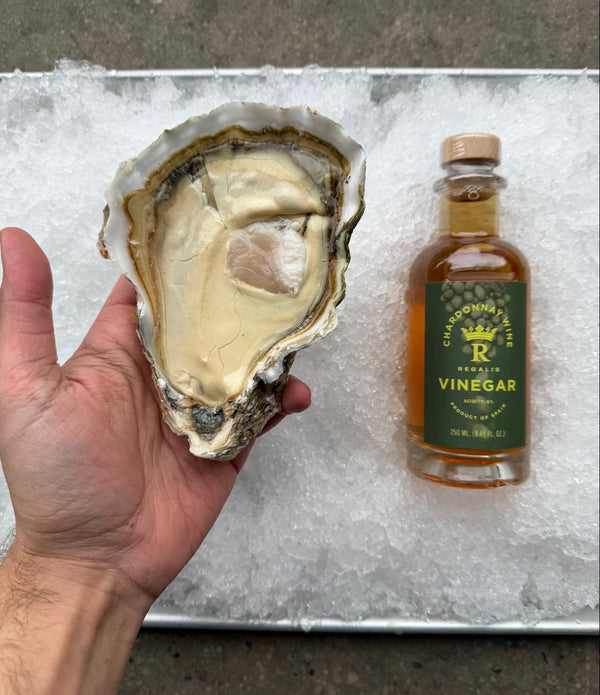 Willapa Bay Behemoth Large Oysters