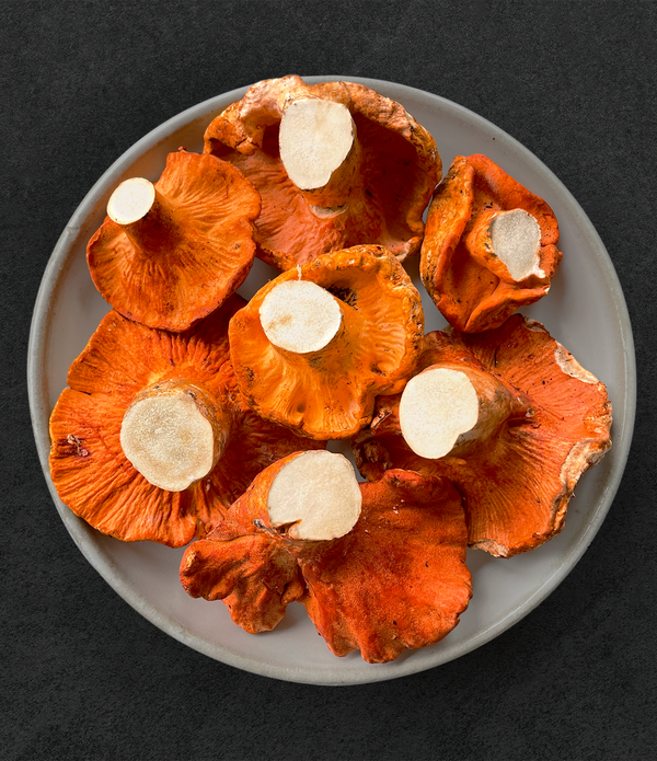Lobster Mushrooms