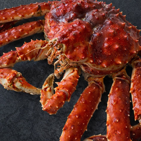 Live Norwegian Red King Crab