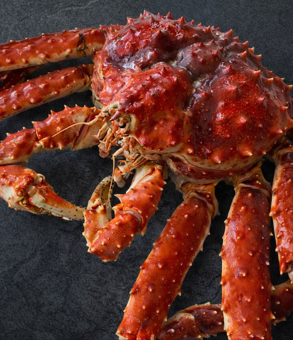 Live Norwegian Red King Crab