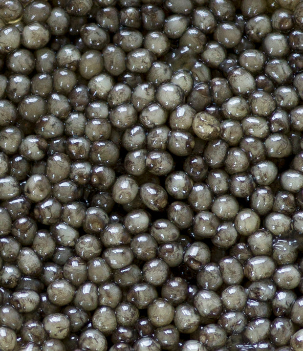 Best Osetra Royale Caviar photos by Regalis Foods - item 2