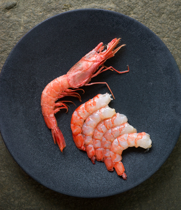 Royal Red Shrimp