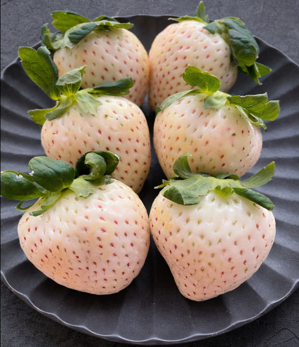 Japanese White Strawberries