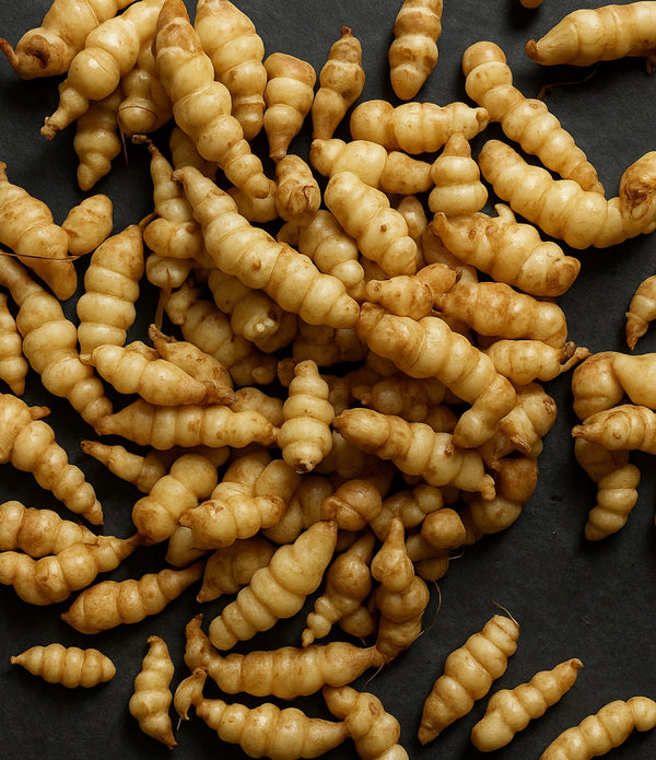 Crosnes