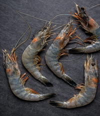 Blue Crystal Prawns