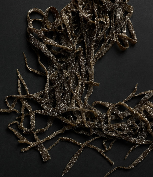 Diver Caught Salted Sea Spaghetti