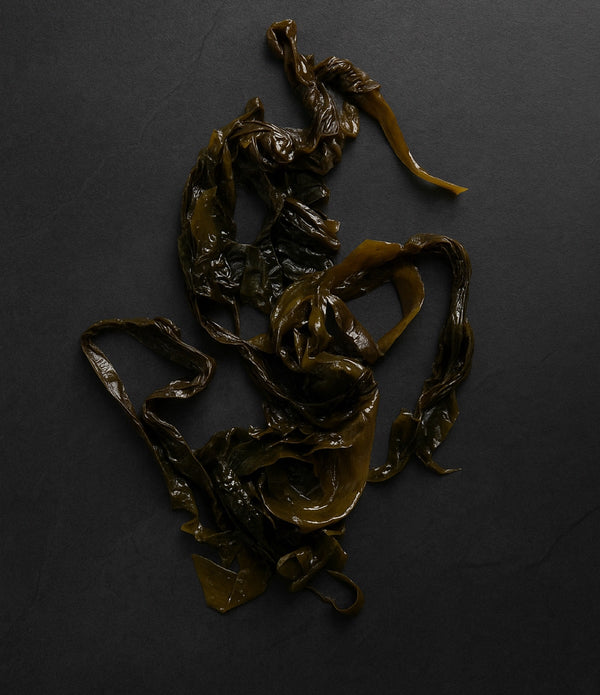 Diver Caught Salted Wakame