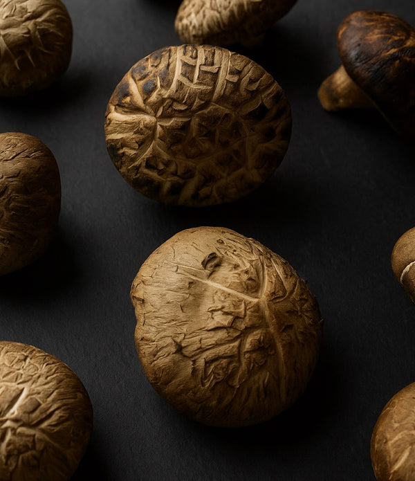 Donko Flower Shiitake