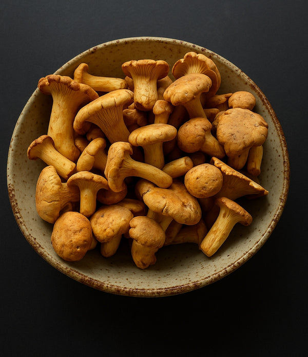 European Golden Chanterelles