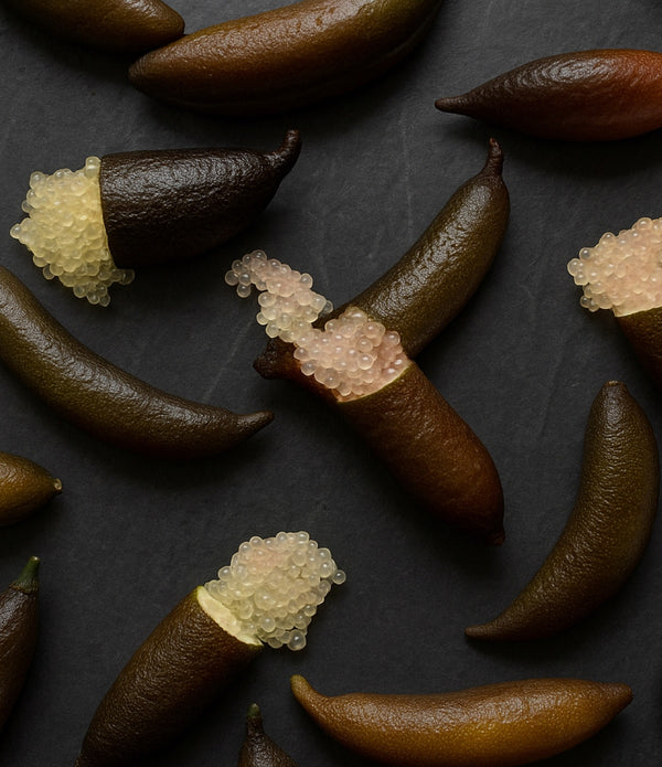 Red Finger Limes, Extra Large