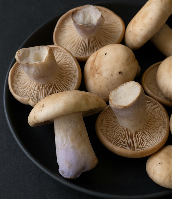 French Bluefoot Mushrooms