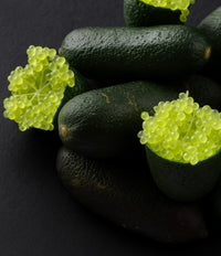 Emerald Green Finger Limes