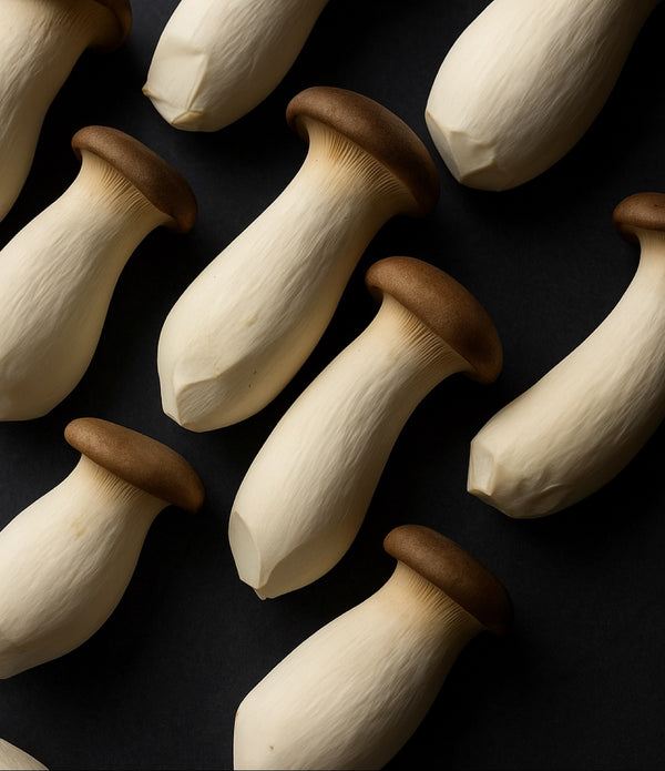 King Oyster Mushrooms