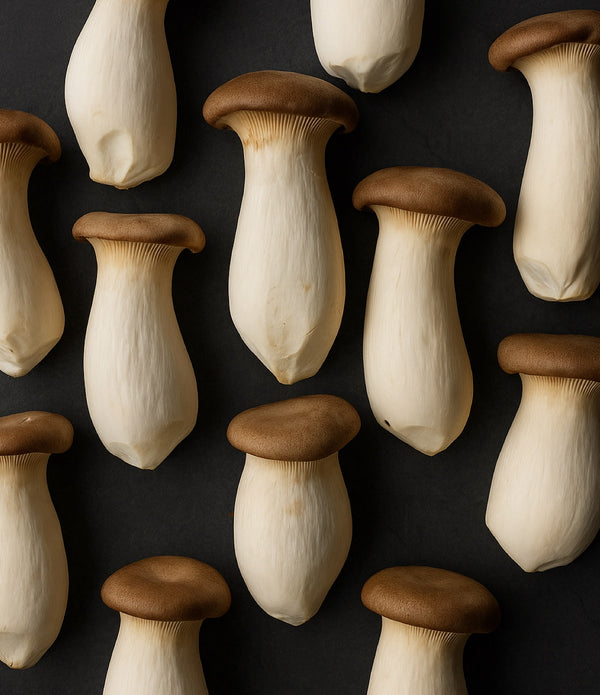 King Oyster Mushrooms