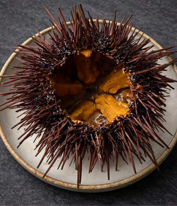 Diver Caught Live Sea Urchin