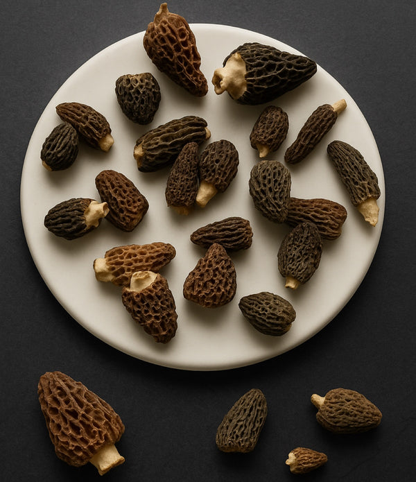 Himalayan "Gucchi" Black Morels