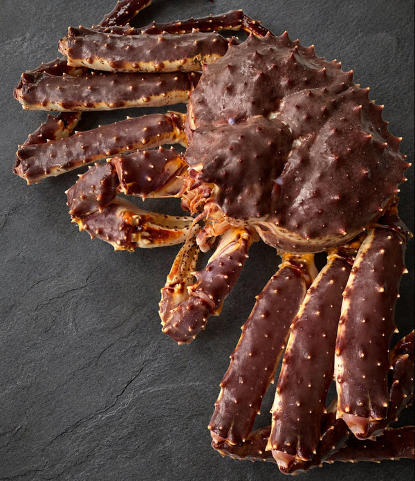 Live Norwegian Red King Crab