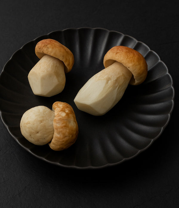 California Sierra Porcini