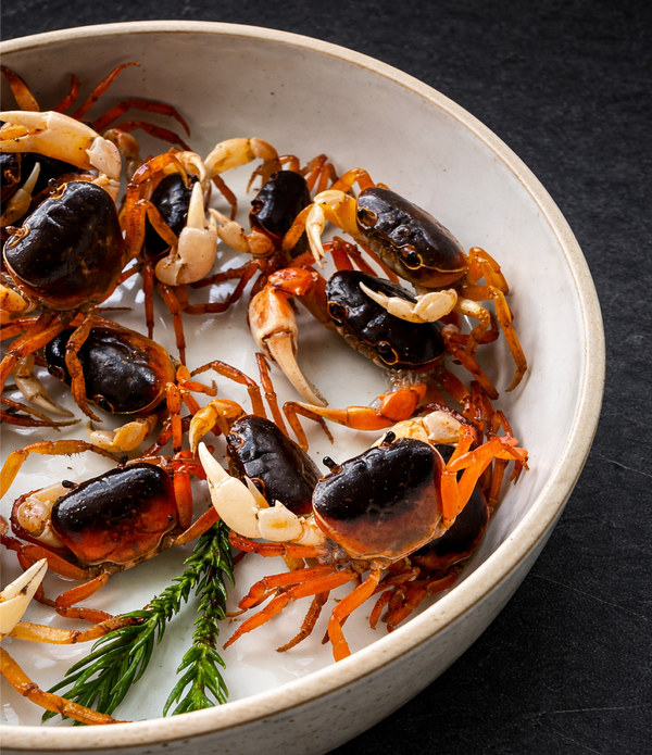 Sawagani (Japanese Soft-shell Freshwater Crabs)