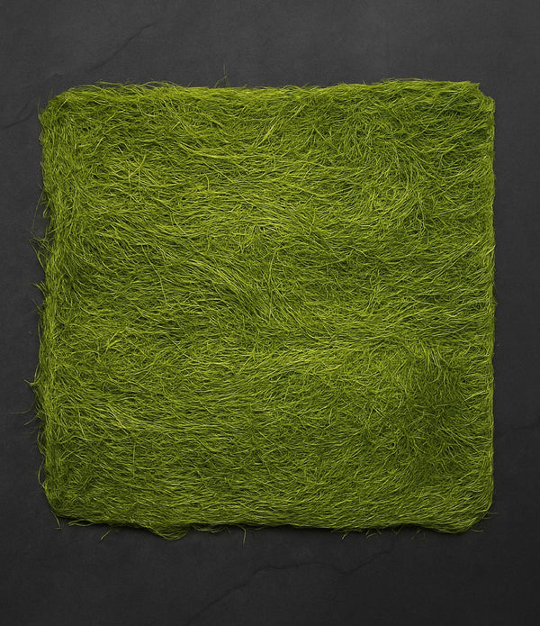 Badasoop Roasted Gamtae Seaweed, Unseasoned