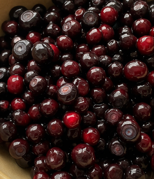 Stemless Mountain Huckleberries