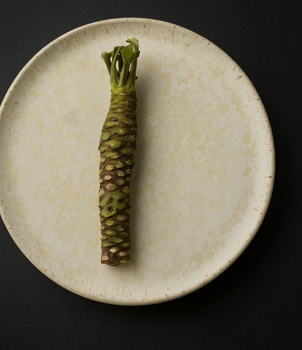Fresh California Wasabi Rhizome - Daruma Variety
