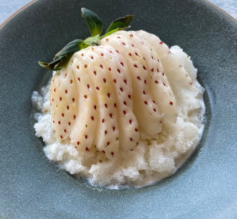japanese white jewel strawberry seeds Japanese White Strawberries – Regalis Foods
