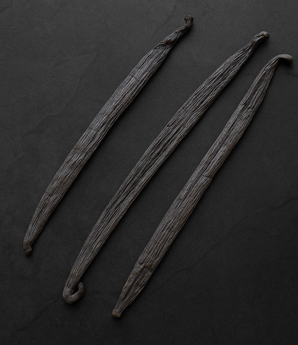 Wild Foraged Colombian Vanilla Beans