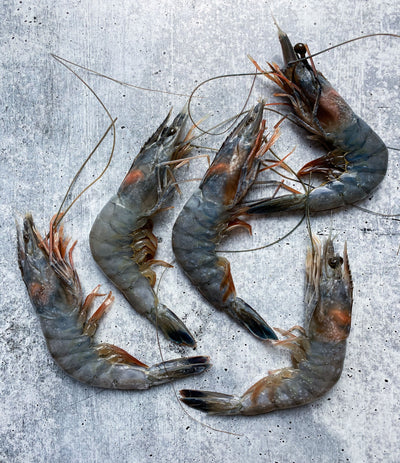 Best Blue Crystal Prawns - 1kg box photos by Regalis Foods - item 1