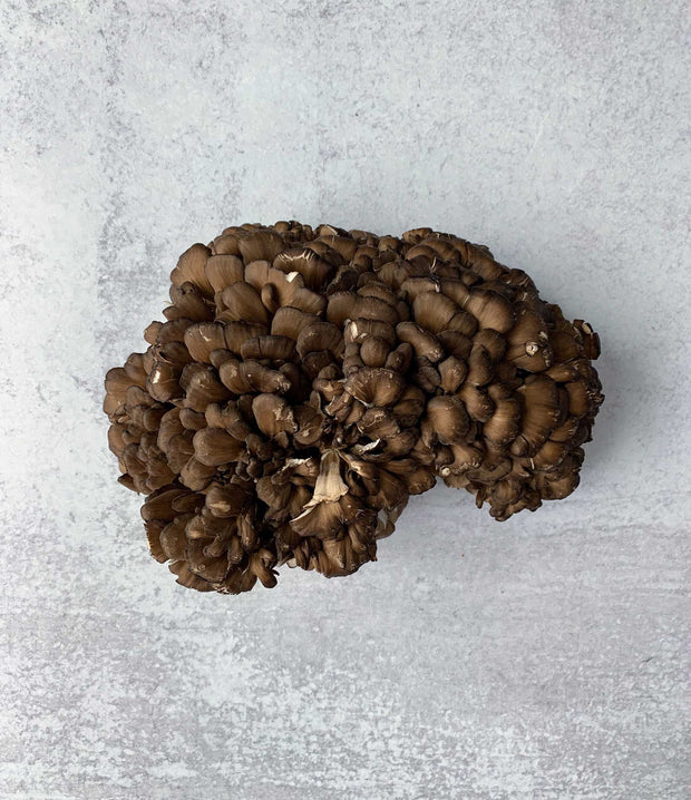 Best Black Maitake photos by Regalis Foods - item 3