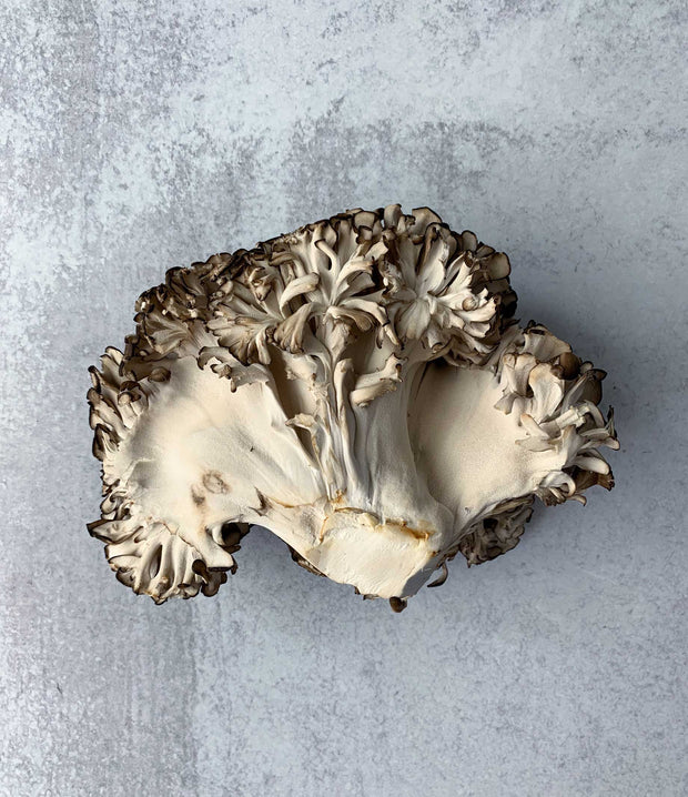 Best Black Maitake photos by Regalis Foods - item 4
