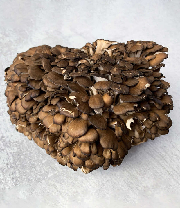 Best Black Maitake photos by Regalis Foods - item 5