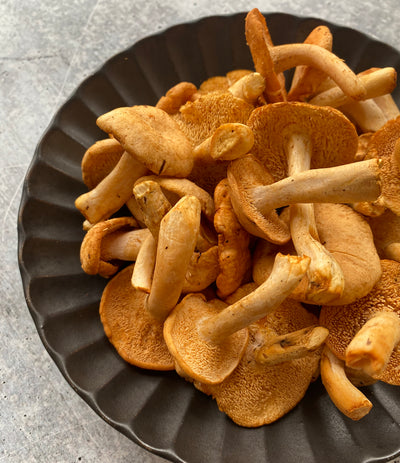 Best Wild Hedgehog Mushrooms - 1 lb photos by Regalis Foods - item 1