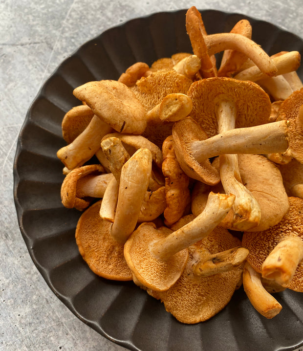 Best Wild Hedgehog Mushrooms - 1 lb photos by Regalis Foods - item 1
