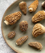 Oregon Blonde Morels