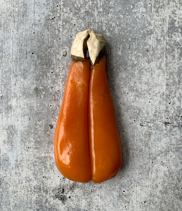 Best Sardinian Bottarga photos by Regalis Foods - item 1