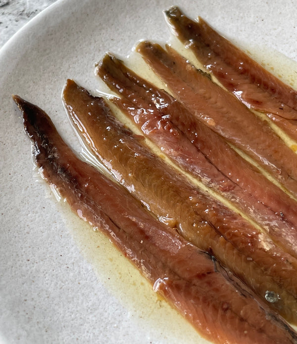 Anchoa (Cured Cantabrian Brown Anchovies)