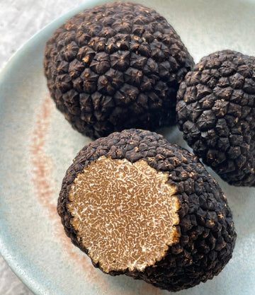 Best Burgundy Truffle (Tuber uncinatum) photos by Regalis Foods - item 1