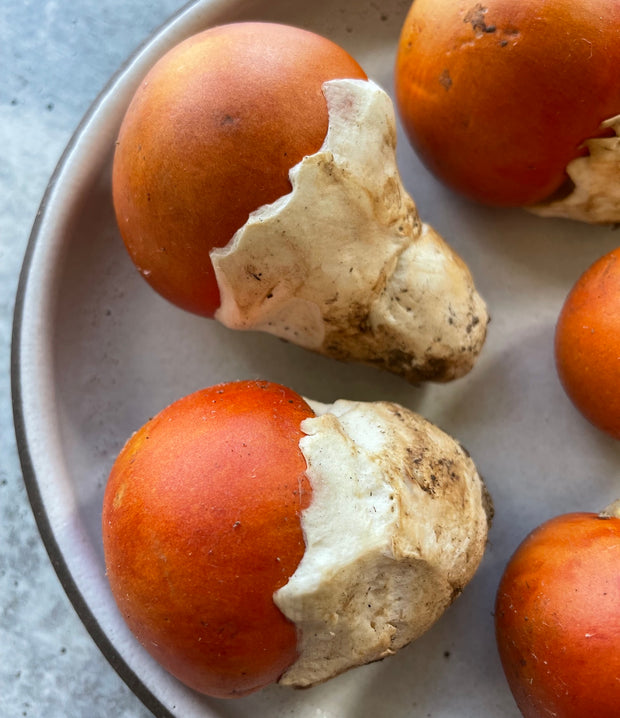 Best Ovuli — "Caesar's Mushroom" photos by Regalis Foods - item 1