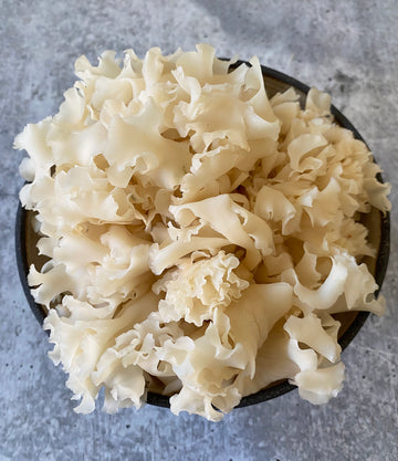 Best Sparassis Mushroom photos by Regalis Foods - item 1