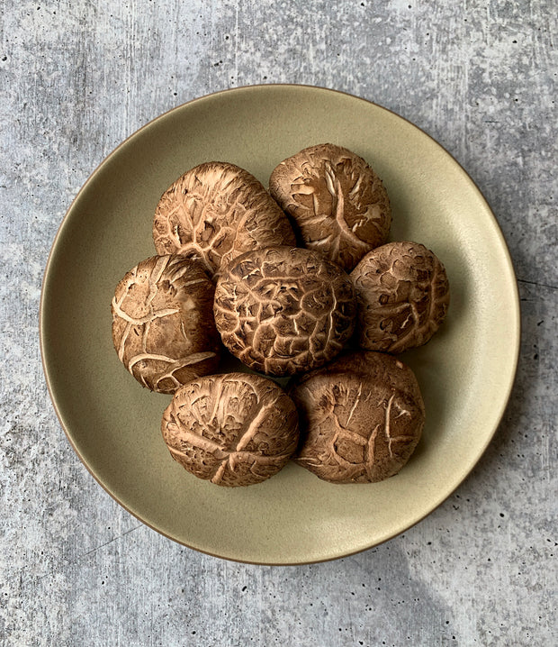 Donko Flower Shiitake - Buy at Regalis Foods