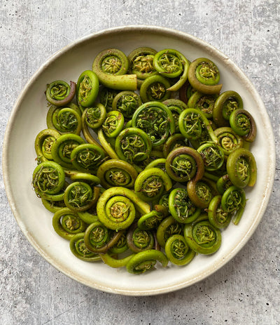 Best Lady Fiddlehead Ferns, 1 lb. photos by Regalis Foods - item 1