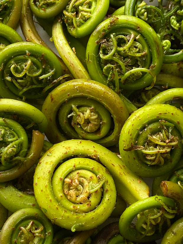 Best Lady Fiddlehead Ferns, 1 lb. photos by Regalis Foods - item 3