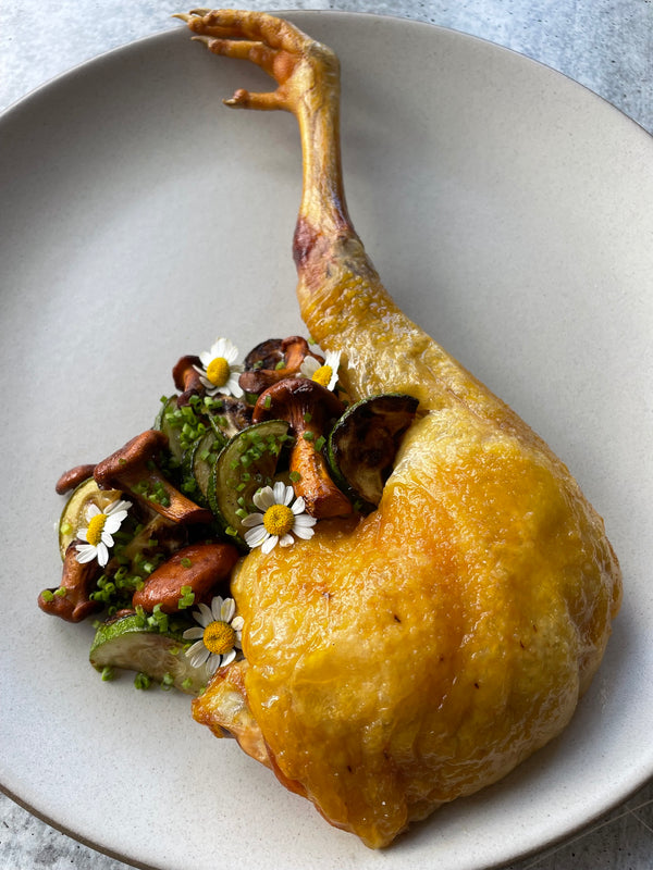 Pennsylvania Golden Chicken