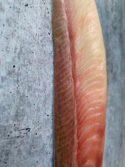 Crown Toro Hamachi Loin (Yellowtail Amberjack)