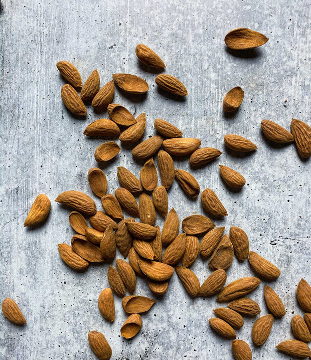 Best Gurbandi Almond 1 kilo photos by Regalis Foods - item 1