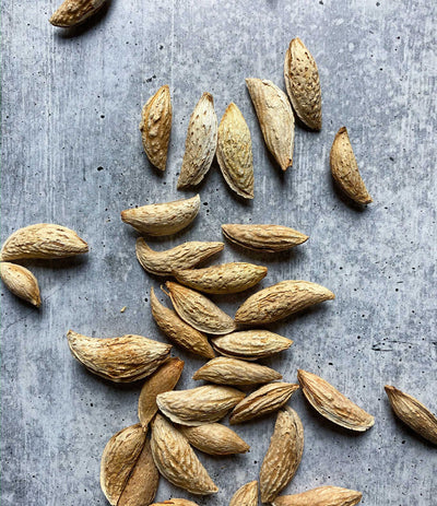 Best Soft Shell Satarbai Almonds, 1 kg photos by Regalis Foods - item 1