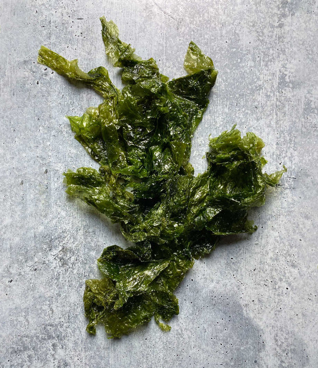 Best Diver Caught Salted Sea Lettuce 1 Kilo photos by Regalis Foods - item 1